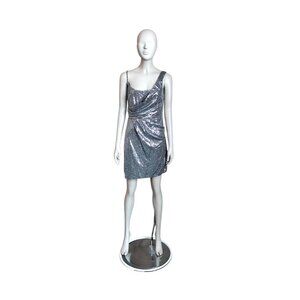 Express Silver Sequin A Line Dress
